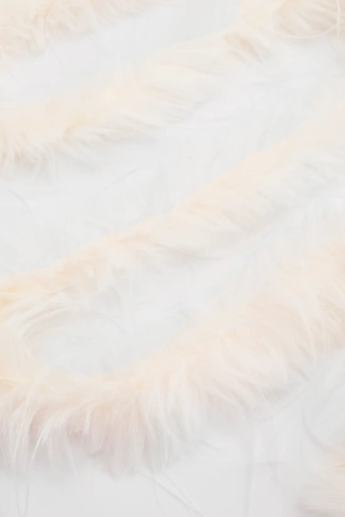 White Faux Feather Boa | Boohoo | Boohoo.com (UK & IE)