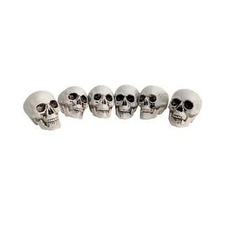 2" Skulls in Mesh Bag by Ashland® | Michaels Stores