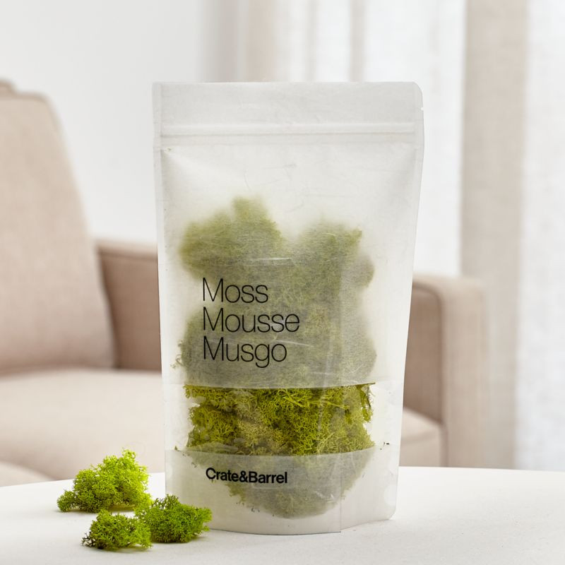 Chartreuse Bag of Moss + Reviews | Crate & Barrel | Crate & Barrel