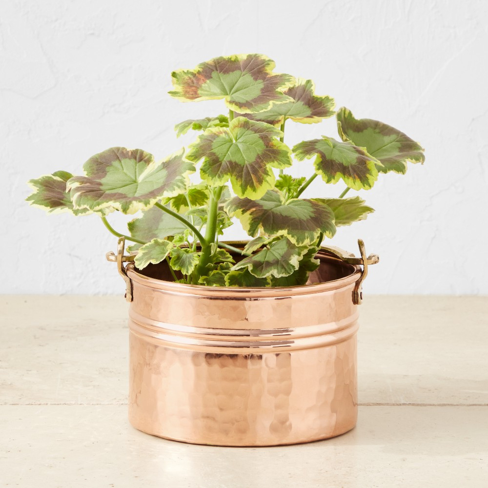Copper Round Ribbed Planter | Williams-Sonoma
