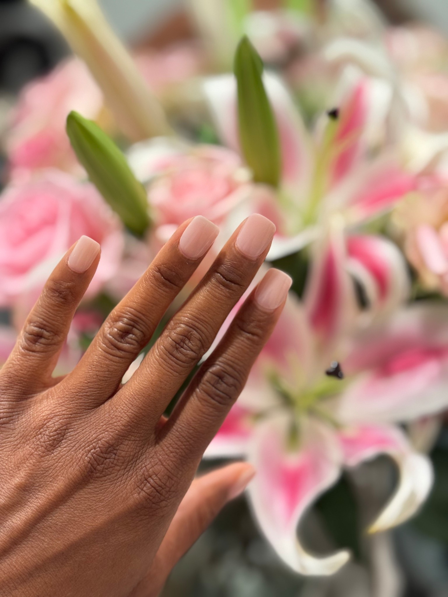 When you don’t have time to elevate your appearance you can still present like you’ve spent a few hours at the salon 💅😉.  Using gel glue makes these instead of what’s on the nail last so much longer and no one will know the difference 🫶🏽

#LTKFindsUnder50 #LTKBeauty #LTKStyleTip