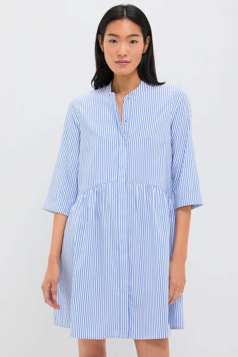 Blue Stripe Royal Shirt Dress | Tuckernuck (US)