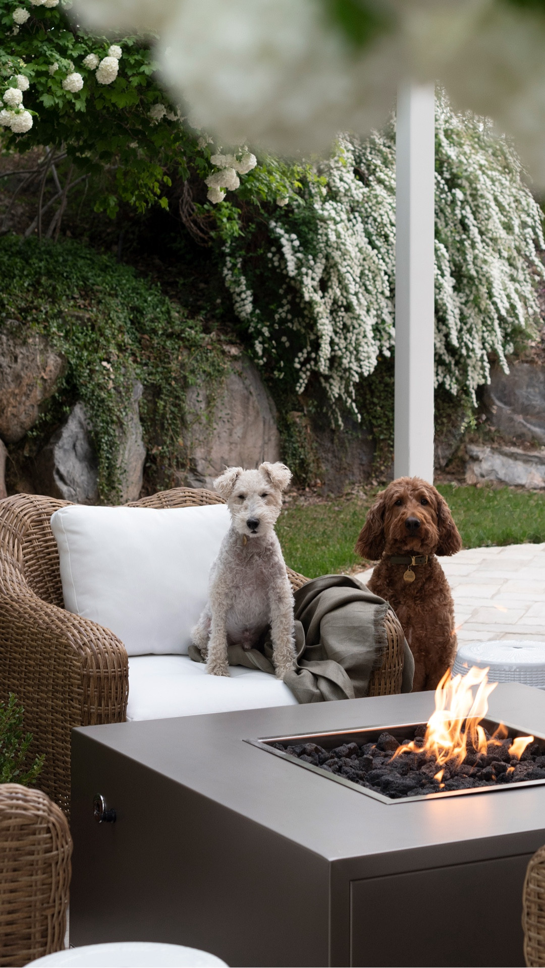 Patio finds from @Wayfair  I would buy again! Including our oversized outdoor lounge chairs… they’ve withstood the weather, our dogs, and are super comfy. #Ad #Wayfair #WayfairPartner 

#LTKSaleAlert #LTKHome #LTKSeasonal