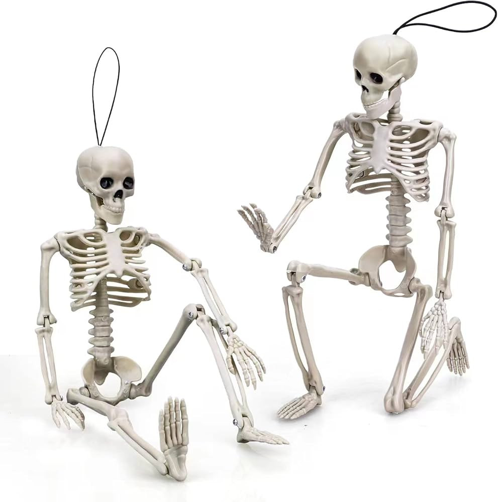 TOY Life 2 Pcs Halloween Hanging Skeleton Decoration, 16” Posable Halloween Decoration, Full Bo... | Amazon (US)
