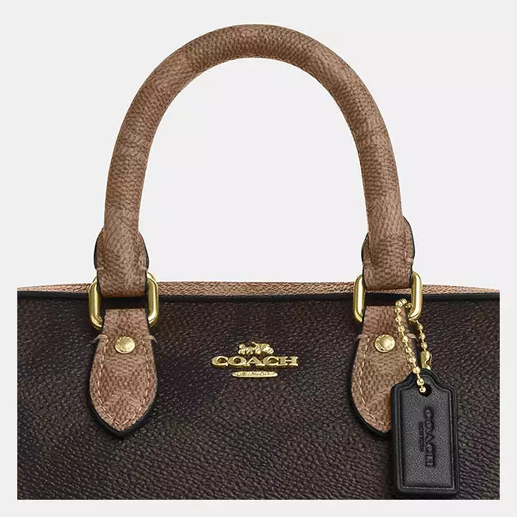 Mini Rowan Crossbody Bag In Blocked Signature Canvas | Coach Outlet US