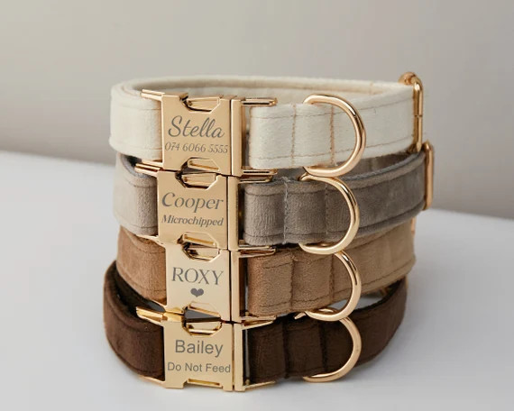 Multiple Colour Velvet Personalise Dog Collar Leash Set with Bow,Brown+Grey+White,Engraved Pet Na... | Etsy (US)