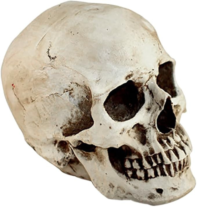 Realistic Human Skull Resin Statue Vintage Home Decor Office Garden Decoration Retro Style Table ... | Amazon (US)