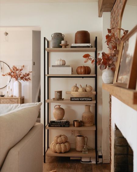 Our fall shelves 🤎🍂 found a ton of great items from Target, all so affordable! My stems are also still available this year 🥰

Target home decor, Target fall, ceramic pumpkins, books, bookshelf decor 

#LTKSeasonal #LTKFind #LTKhome