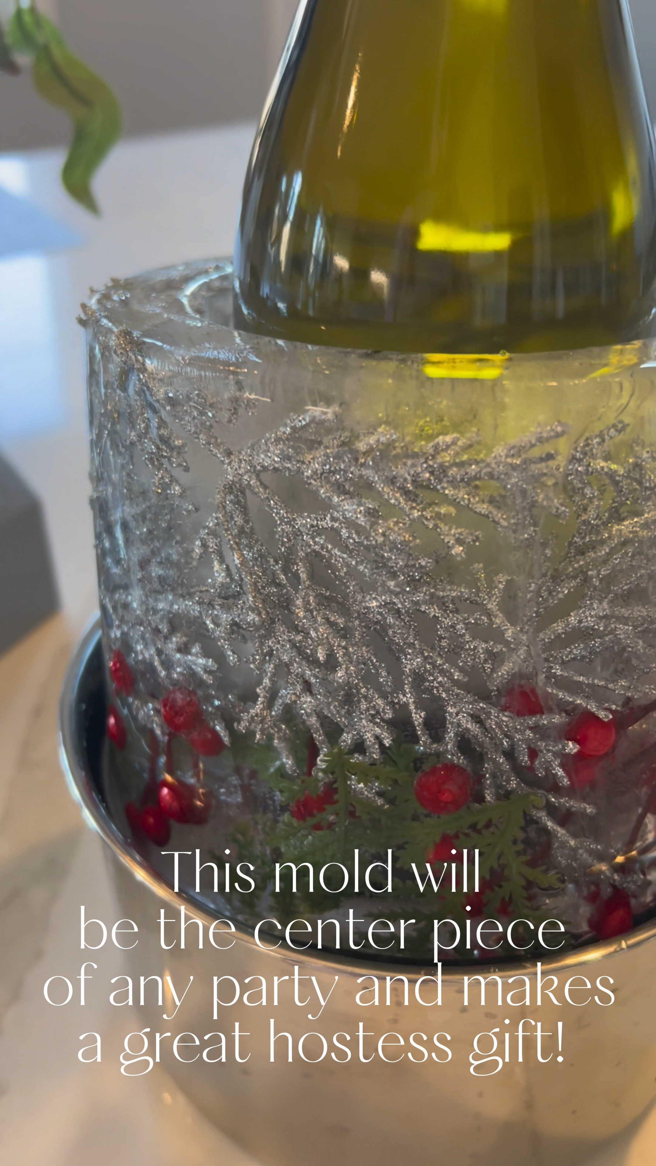 This ice mold is a favorite to use all year round, but especially during the holidays! Fill with your favorite garnish, freeze, and use as a show stopper piece at your holiday party! It would make a great hostess gift!
Hosting. Holiday party. Gift guide. Hostess gift. Gift idea. Party decor. Home decor. 

#LTKHoliday #LTKParties #LTKWatchNow