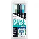 Tombow 56227 Dual Brush Pen Art Markers, Wonderland, 6-Pack. Blendable, Brush and Fine Tip Marker... | Amazon (US)