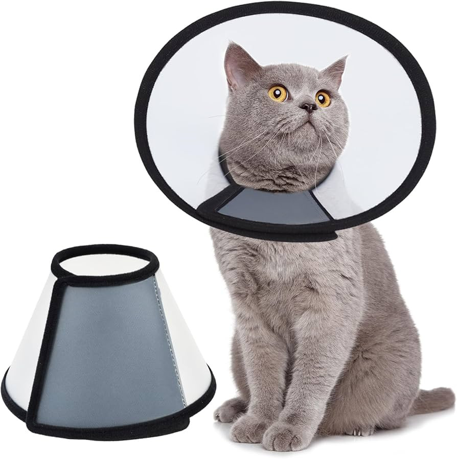 Vivifying Cat Cone, Adjustable Recovery Pet Cone, Three Sizes Lightweight Plastic Elizabethan Col... | Amazon (US)