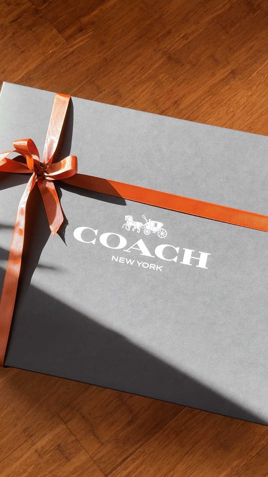 Early Christmas gift 👜✨🤎 
•
#CoachBag #CoachBrooklyn #LTKFinds #LTKBag #LTKFashion

#LTKHoliday #LTKGiftGuide #LTKWorkwear