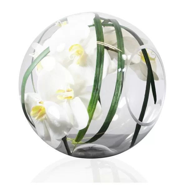 Hand Blown Crosswinds Phalaenopsis Orchids Centerpiece in Vase | Wayfair North America