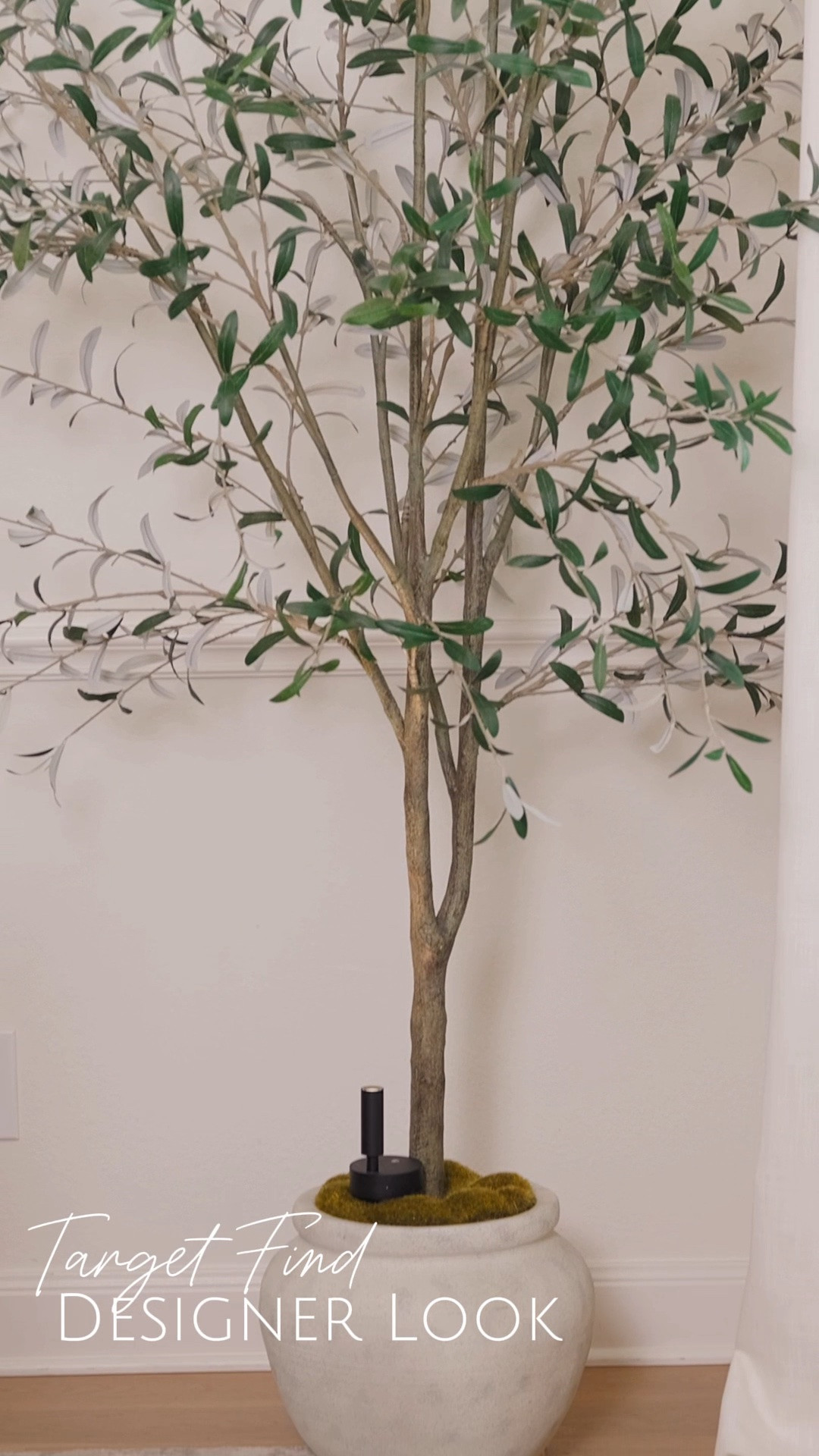 My favorite olive tree is such a great Target find. I added an uplight for the evenings✨

Olive tree
Target find
Studio McGee
Home decor
Designer look

#LTKHome