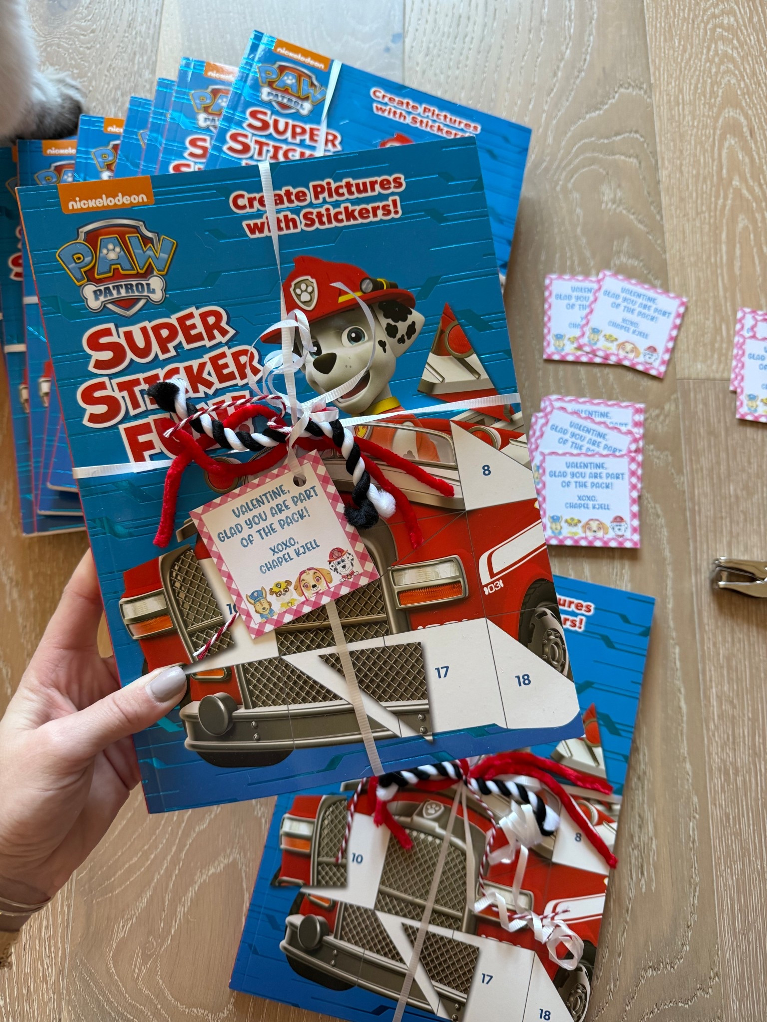 Valentines. Vday. Kids valentines. Paw patrol valentines. Valentines favors 