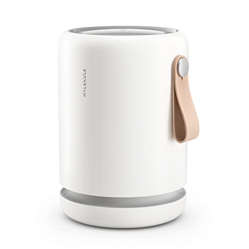 Molekule Air Purifier Mini+ - Purifies Rooms Up to 250 Sq Ft - Smart Purifier with High Pollutant Capture Rate - Air Quality Monitoring Capabilities - White | Amazon (US)