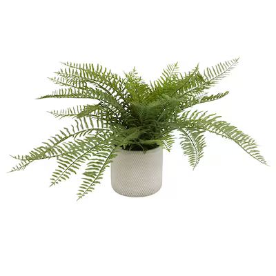 allen + roth  16-in Grey Color Cement Pot Indoor Artificial Fern Plants | Lowe's