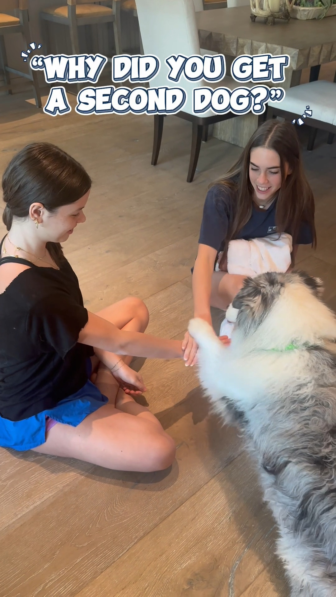 People always ask us, “Why did you get another dog?” Well, this is why…🐶💛🐶

#LTKPets #LTKWatchNow #LTKFamily