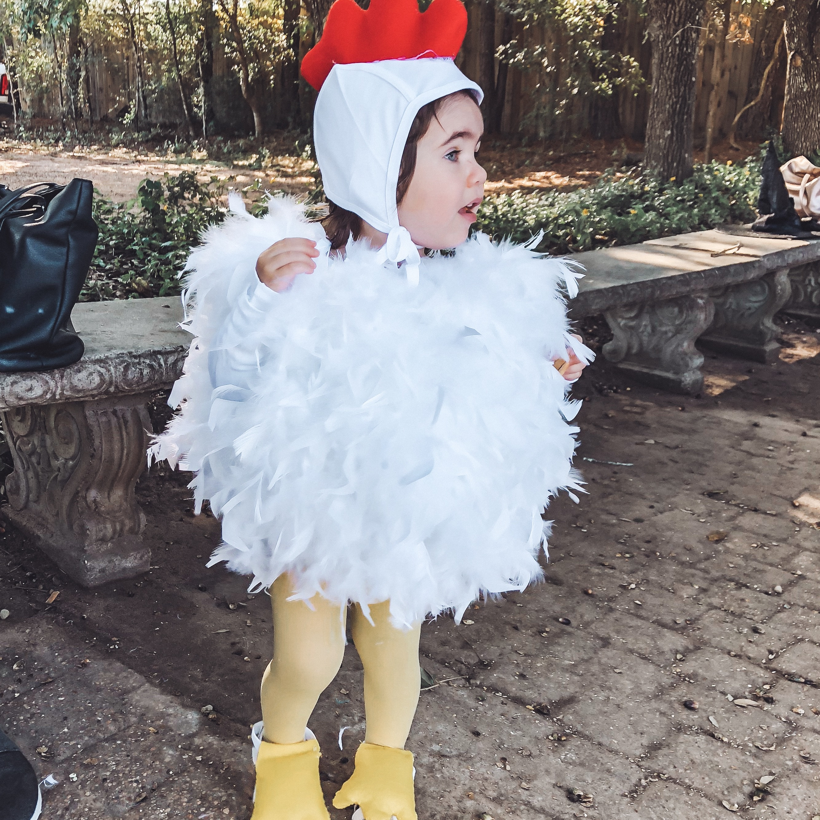 DIY Halloween costume 

Fluffy chicken costume I made for my daughter. I wrote a blog post on my blog: www.meatballmom.com - just search ‘diy’ or ‘costume’ for what I did. 

I got items from Amazon and a craft store- but I tried to link up most things that could be purchased online.  

I used a hot glue gun, safety pins, and a travel sewing kit - minimal sewing skills needed.  





Halloween , Halloween costume , #ltkhalloween , kids costume , diy Halloween 
Paw patrol costume 

#LTKKids #LTKFindsUnder50 #LTKHalloween