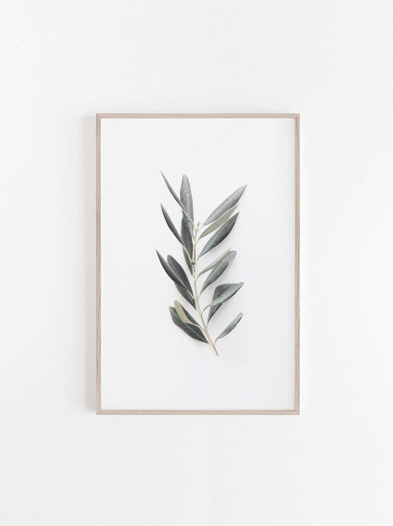 Botanical Print,Olive Print,Botanical Wall Art,Large Wall Art,Print,Wall Decor,Digital Download,Natu | Etsy (US)