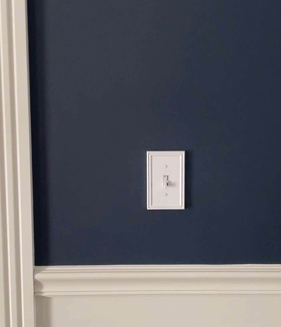 Is it time to upgrade your light switch plates? Here’s one of my favorites! ✨

#LTKHome