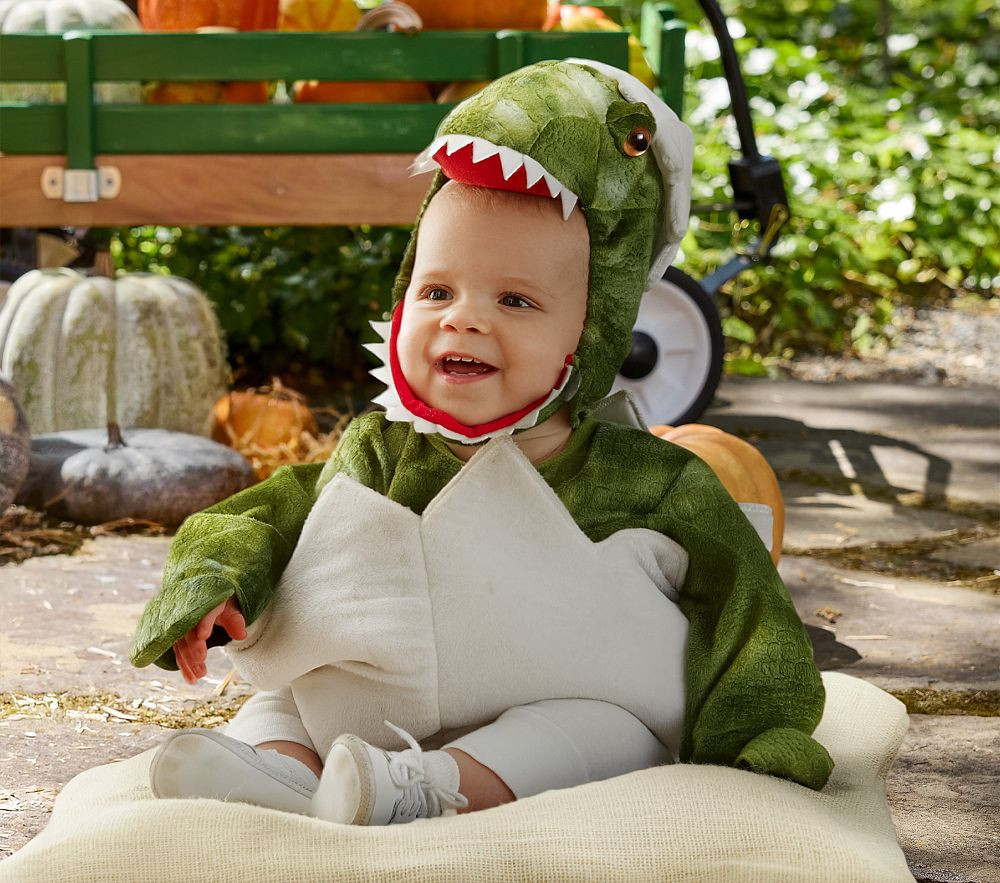 Baby T. Rex Egg Halloween Costume | Pottery Barn Kids