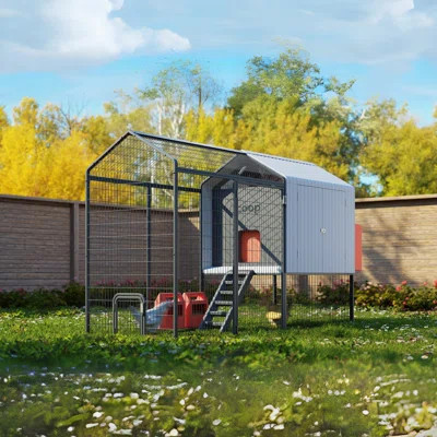 Smart Chicken Coops 30 Square Feet Walk In Chicken Coop with Chicken Run For Up To 6 Chickens | Wayfair North America