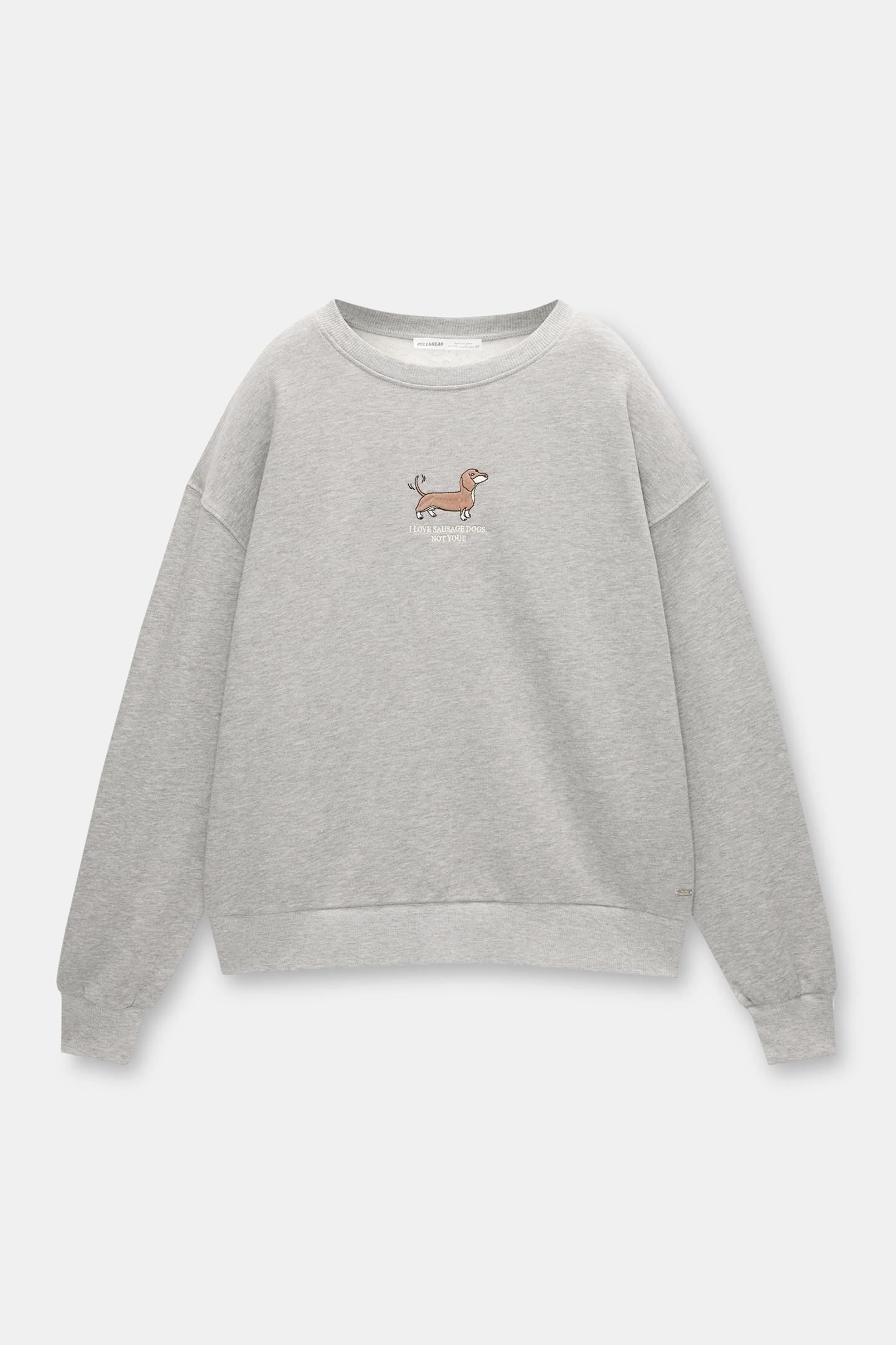 Hundesweatshirt | PULL and BEAR DE
