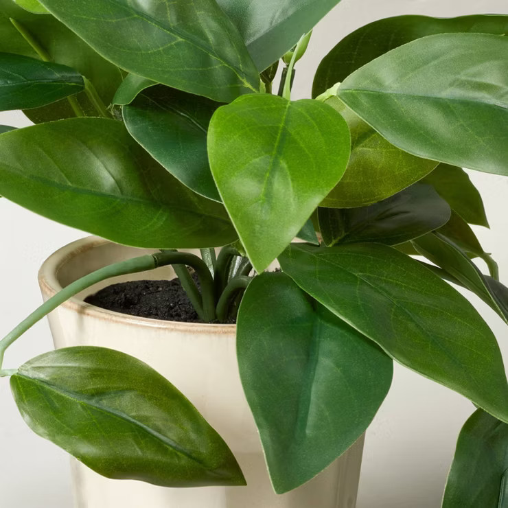 12" Faux Hoya Plant - Hearth & Hand™ with Magnolia | Target