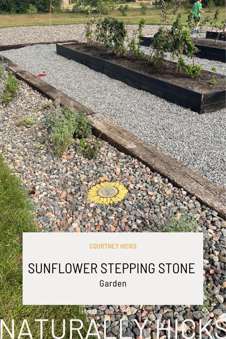 These stepping stones make me so happy! 🌻 #gardening

#LTKSeasonal