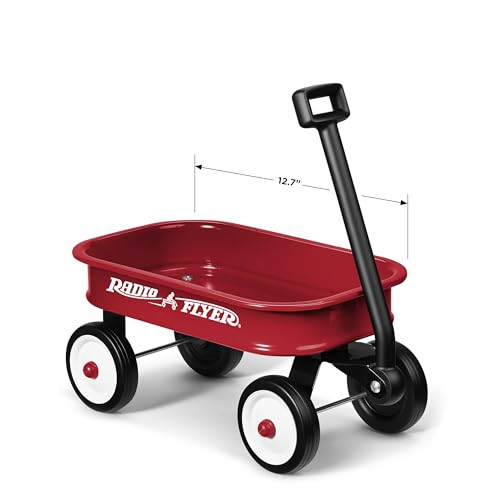 Radio Flyer Miniature Kids Wagon 12.5”, Toy Wagon with Wheels, Rolling Cart for Toddlers & Kids, Indoor & Outdoor Play or Baby Shower Decoration, Ages 1.5+ | Amazon (US)