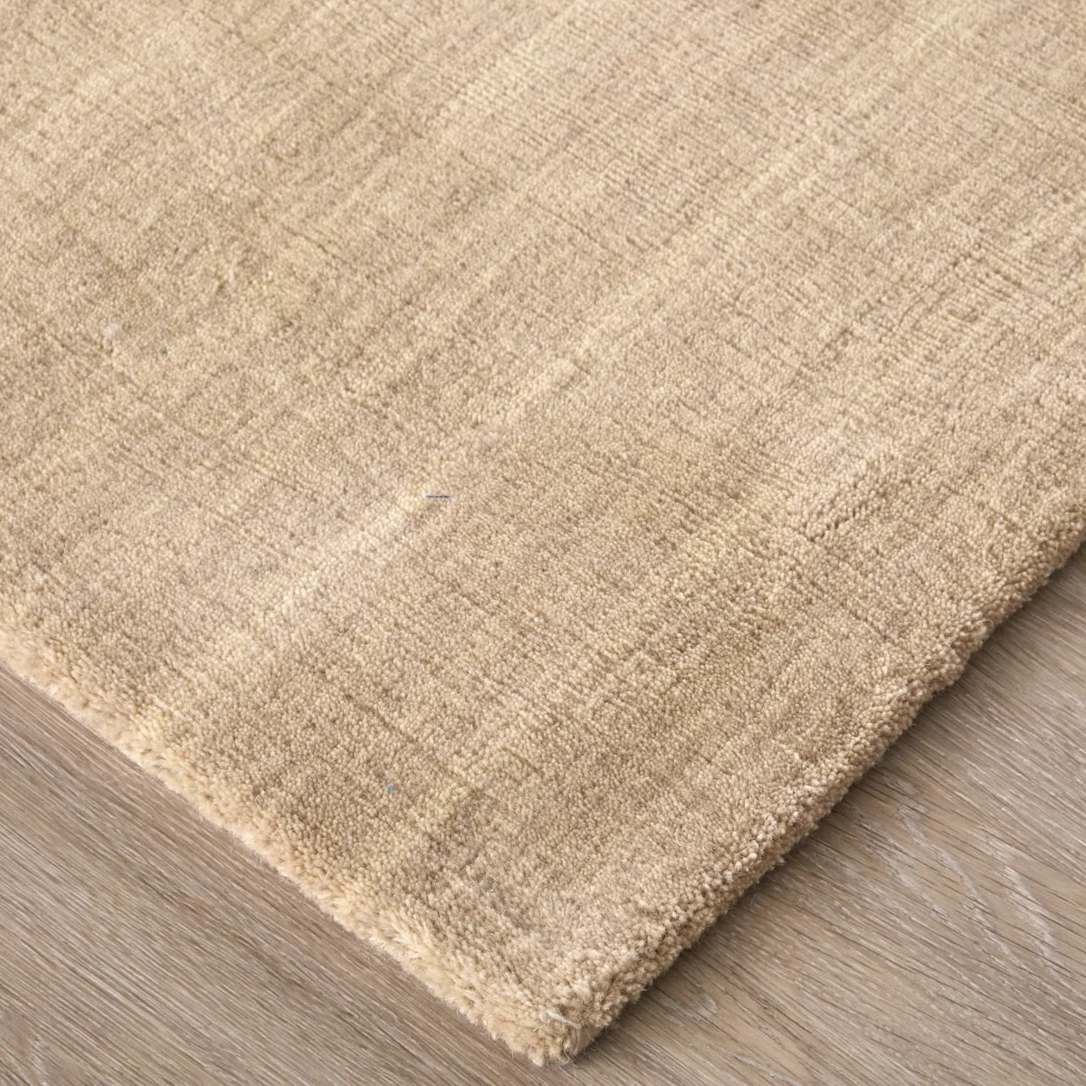 Ameia Performance Wool Indoor Rug | Wayfair North America