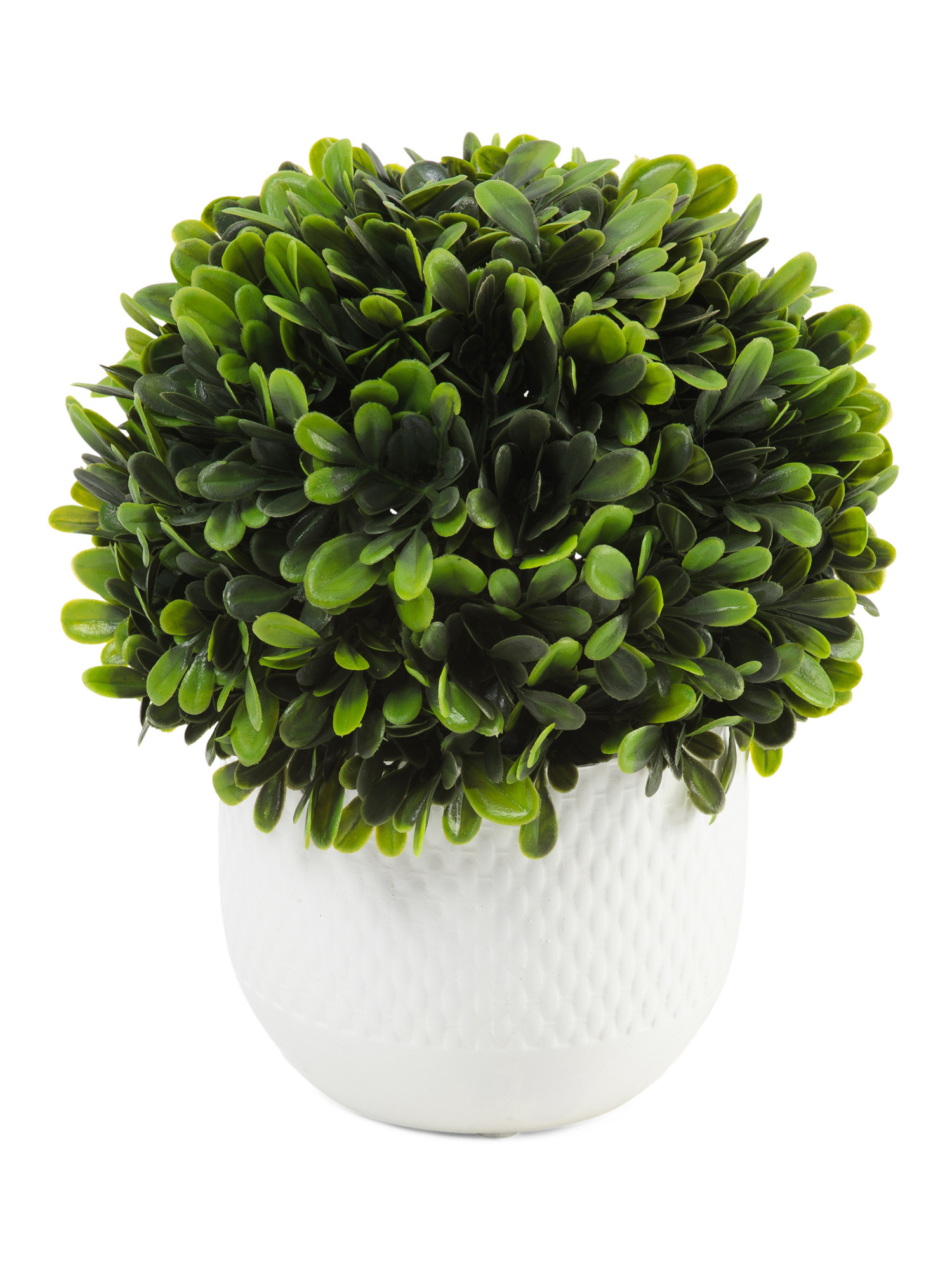 Topiary Ball In Planter | TJ Maxx