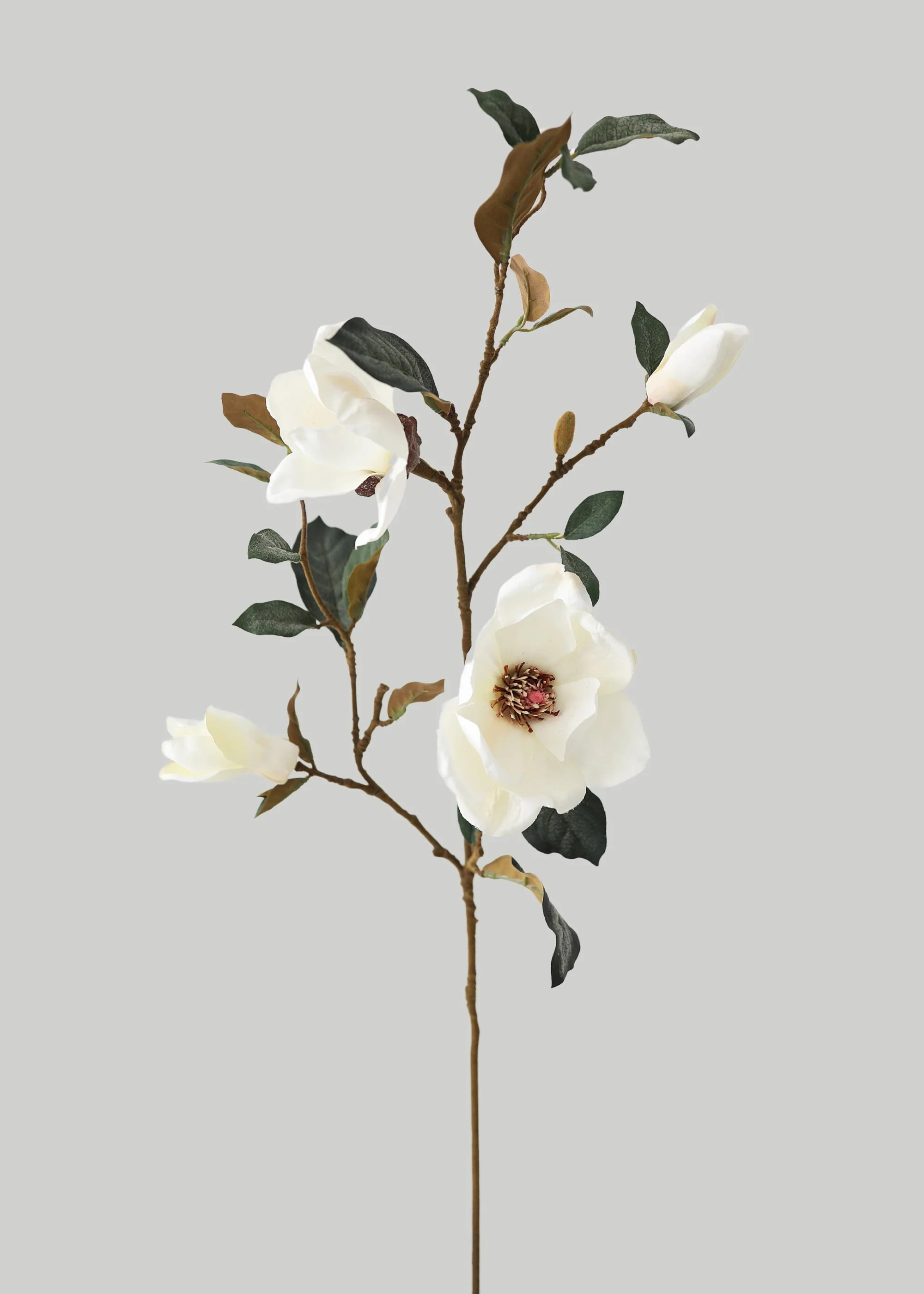 Cream Magnolia Fake Flower Branch - 35 | House of Turnberry