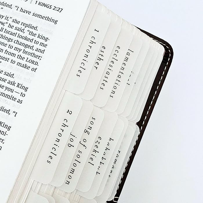 Script Vellum Bible Tabs by Bekah Rose | Neutral Sheer Paper | Simple & Timeless Adhesive Index T... | Amazon (US)