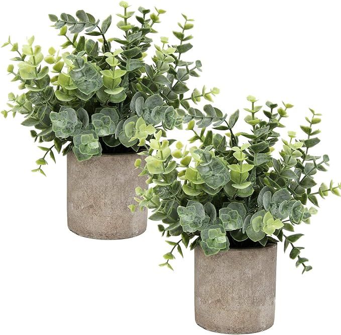Flojery Mini Potted Plants Artificial Eucalyptus Boxwood Rosemary Greenery in Pots Faux Potted He... | Amazon (US)