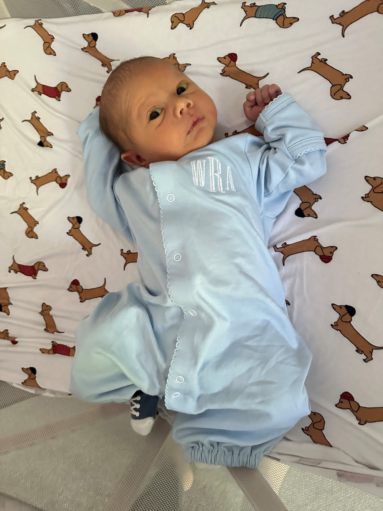 The sweetest (and softest) Pima Cotten baby boy gown … converts into little leg covers too! 

#LTKBaby #LTKBump #LTKKids