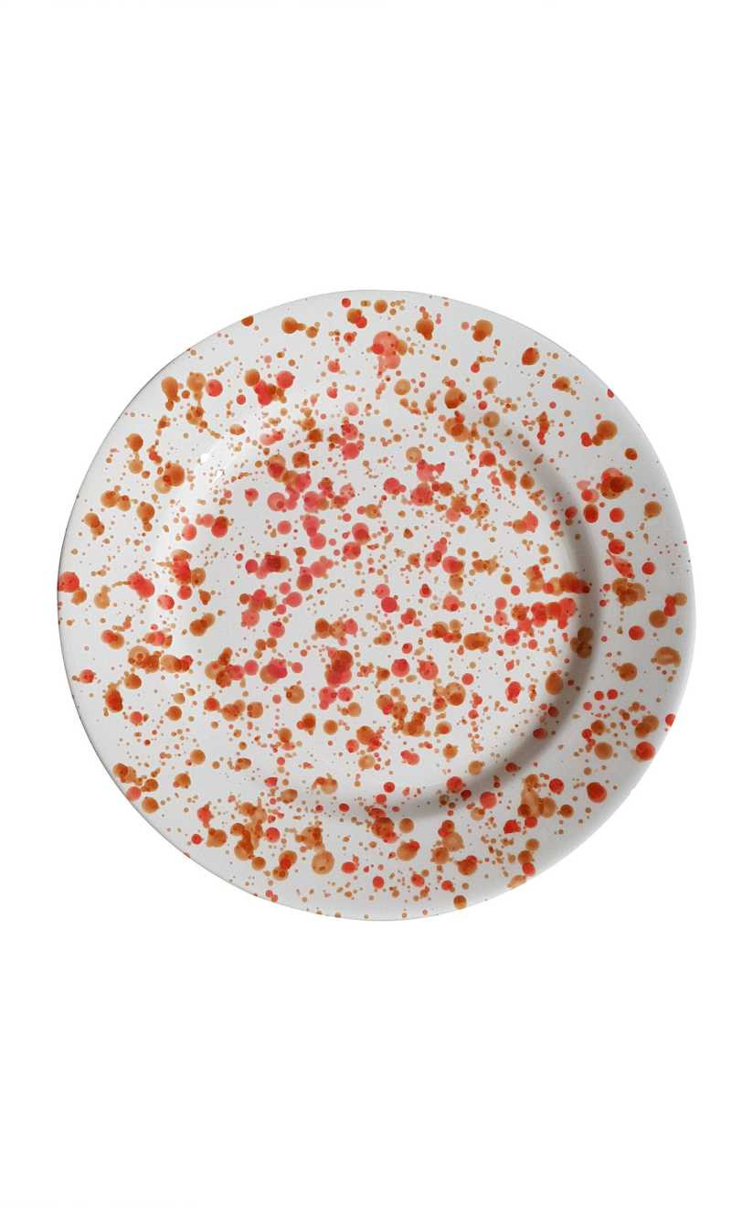 Set-Of-Four Ceramic Dinner Plates | Moda Operandi Global