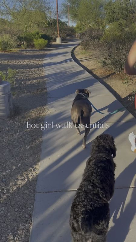 My fave hot girl walk essentials with dogs!! #Ltkpet #ltkdog 

#LTKSeasonal #LTKSale #LTKFind