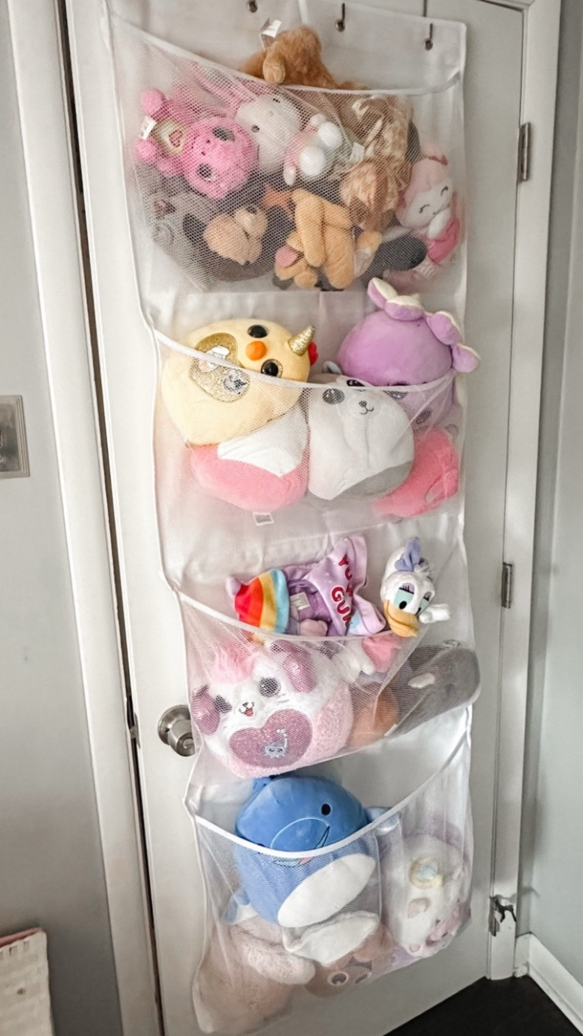 Stuffed animal organizer from Amazon. I love it! It holds so many stuffed animals and keeps the room looking less cluttered!

Organizers, small room organizer, small bedroom stuffed animal organizer, Amazon home finds




#LTKFindsUnder50 #LTKHome