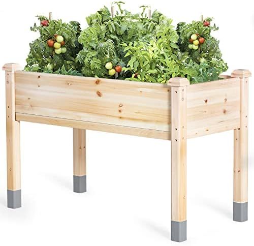 MIXC Wooden Raised Garden Bed with Legs, 48”L X 24”W, Elevated Reinforced Large Planter Box for Vege | Amazon (US)
