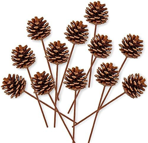 Whaline Christmas Natural Pine Cones 12 Pieces Pinecone Picks Christmas Tree Ornament Holiday Cen... | Amazon (US)