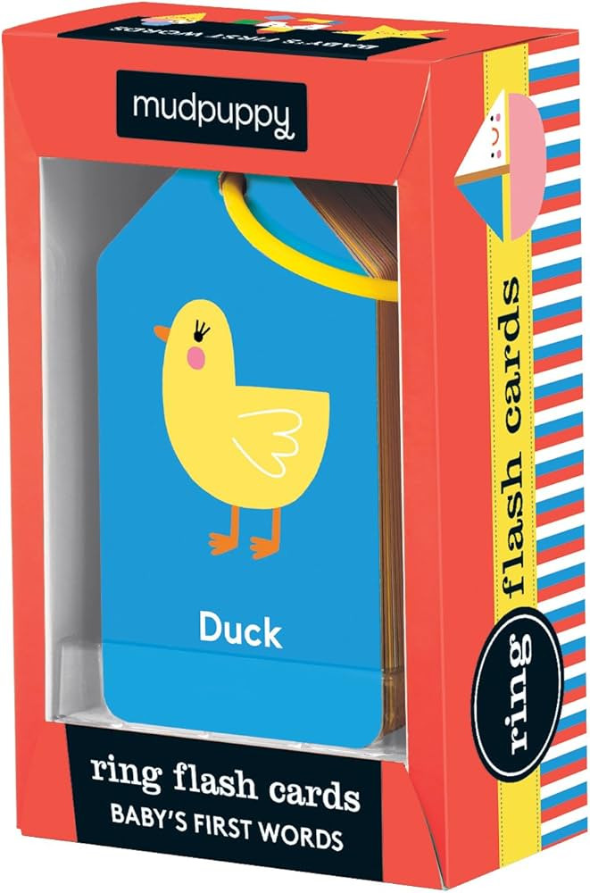 Mudpuppy Baby's First Words Flash Cards – 26 Double-Sided Word Flash Cards on a Reclosable Plas... | Amazon (US)