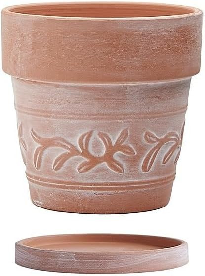 6" Embossed Whitewashed Terracotta Planter with Drainage Hole & Saucer, Rustic Style Unglazed Ter... | Amazon (US)