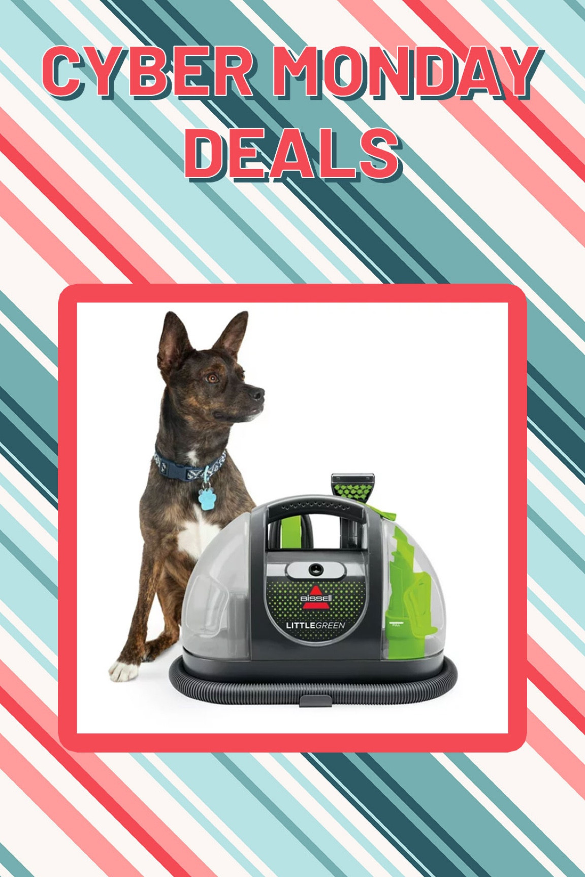 Bissell little green pet in stock Walmart 

#LTKhome #LTKfamily #LTKGiftGuide