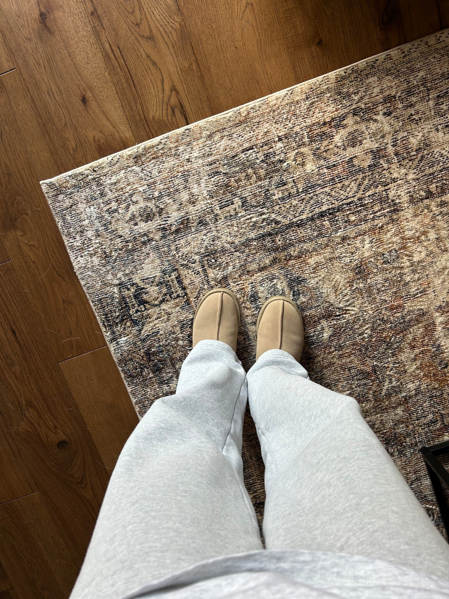 Here are the lineup of the rugs I currently have throughout my home...listed in the order shared in my reel. 

#LTKfall #LTKcanada #LTKhome