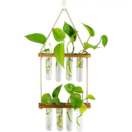 Hanging Plant Propagation Stations Tubes Wall Glass Planter Terrarium with Wooden Stand Propogation  | Walmart (US)