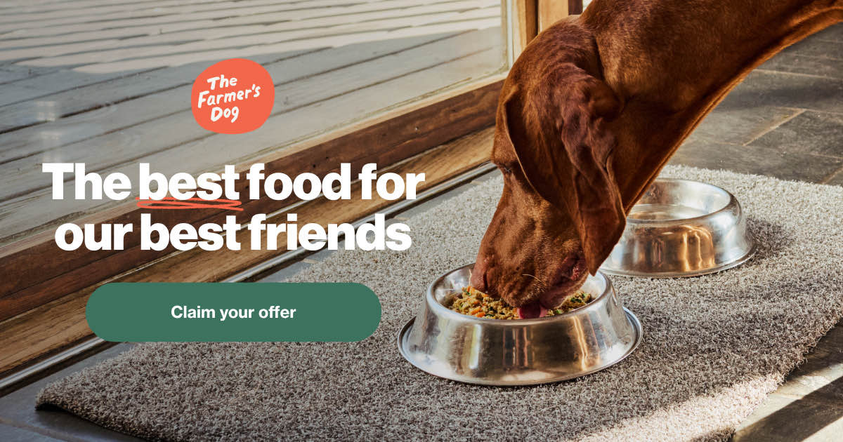 Human-Grade Fresh Dog Food Delivery | The Farmer\u2019s Dog | The Farmer's Dog