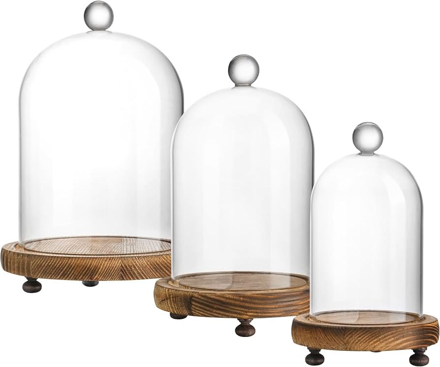 Set of 3 Glass Cloche Domes with Wooden Bases, Glass Display Bell Jars | Amazon (US)