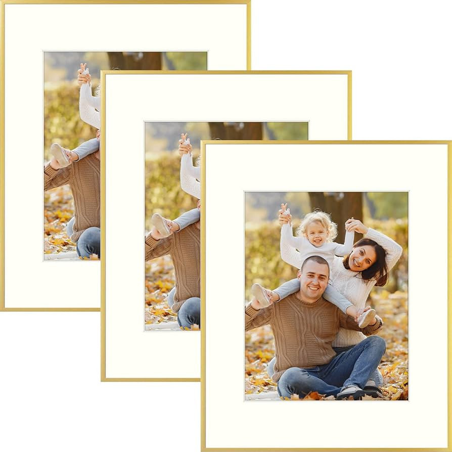 Mat Board Center, Set of 3, 16x20 Aluminum Metal Picture Frames - Wall Display - for Art, Prints,... | Amazon (US)